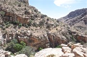 Tucson 2588